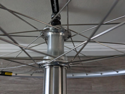 Wheelset - Rim Brake - Mavic CXP Elite, Miche Shimano Hubs, Sapim Race Spokes