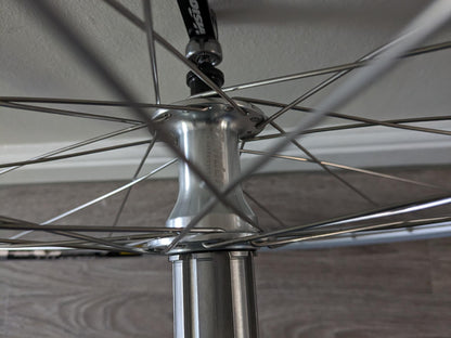 Wheelset - Rim Brake - Mavic CXP Elite, Miche Shimano Hubs, Sapim Race Spokes
