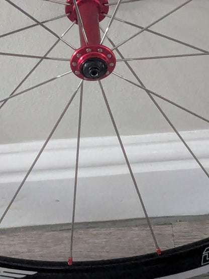 Handbuilt Wheelset - Halo Devaura Rim Brake, Bitex Hubs with Shimano Freehub, Sapim CX Ray Spokes