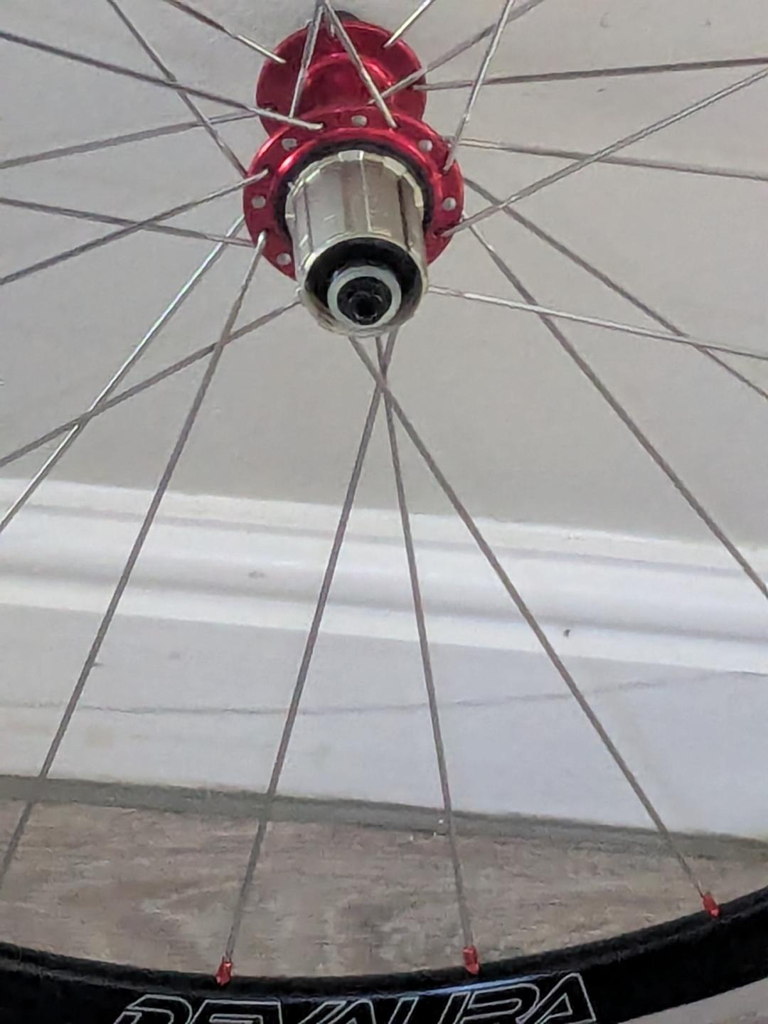 Handbuilt Wheelset - Halo Devaura Rim Brake, Bitex Hubs with Shimano Freehub, Sapim CX Ray Spokes