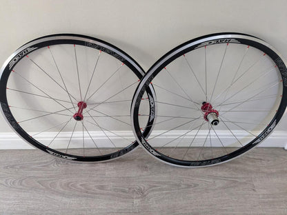 Handbuilt Wheelset - Halo Devaura Rim Brake, Bitex Hubs with Shimano Freehub, Sapim CX Ray Spokes